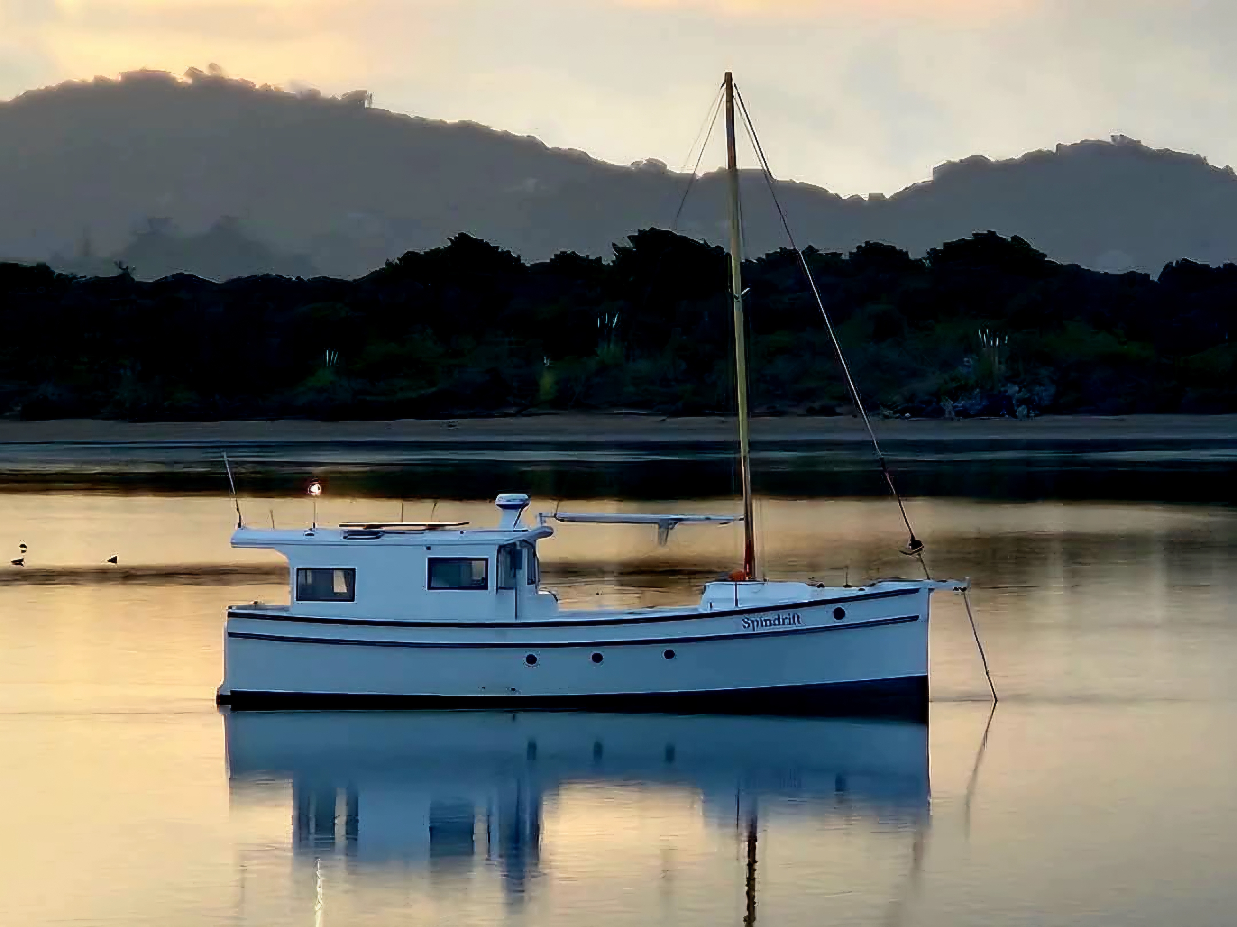 Ngunguru Estuary